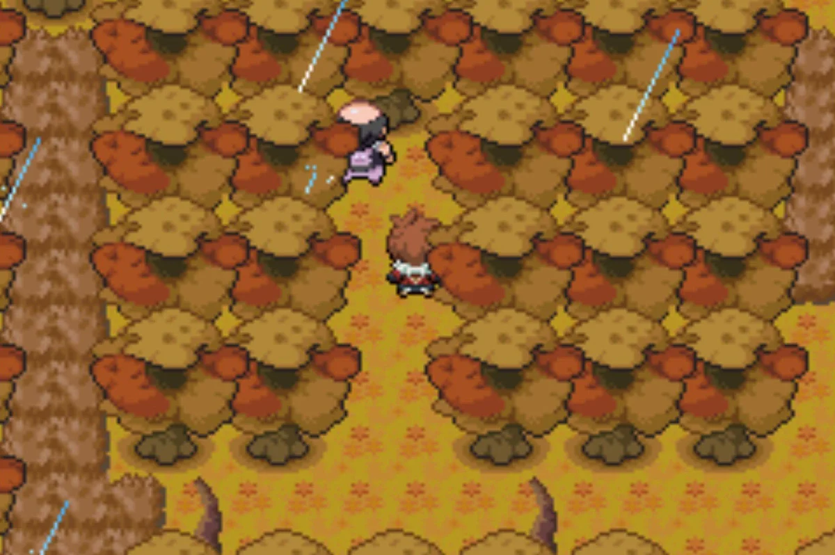 Jump off one ledge to get to the second Goon / Pokémon Unbound