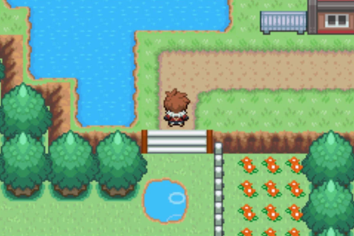 The gate to Epidimy Town / Pokémon Unbound