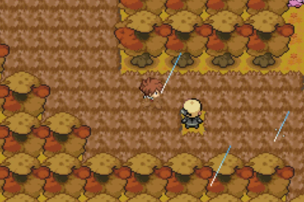 The final trainers are here in this grassy part / Pokémon Unbound