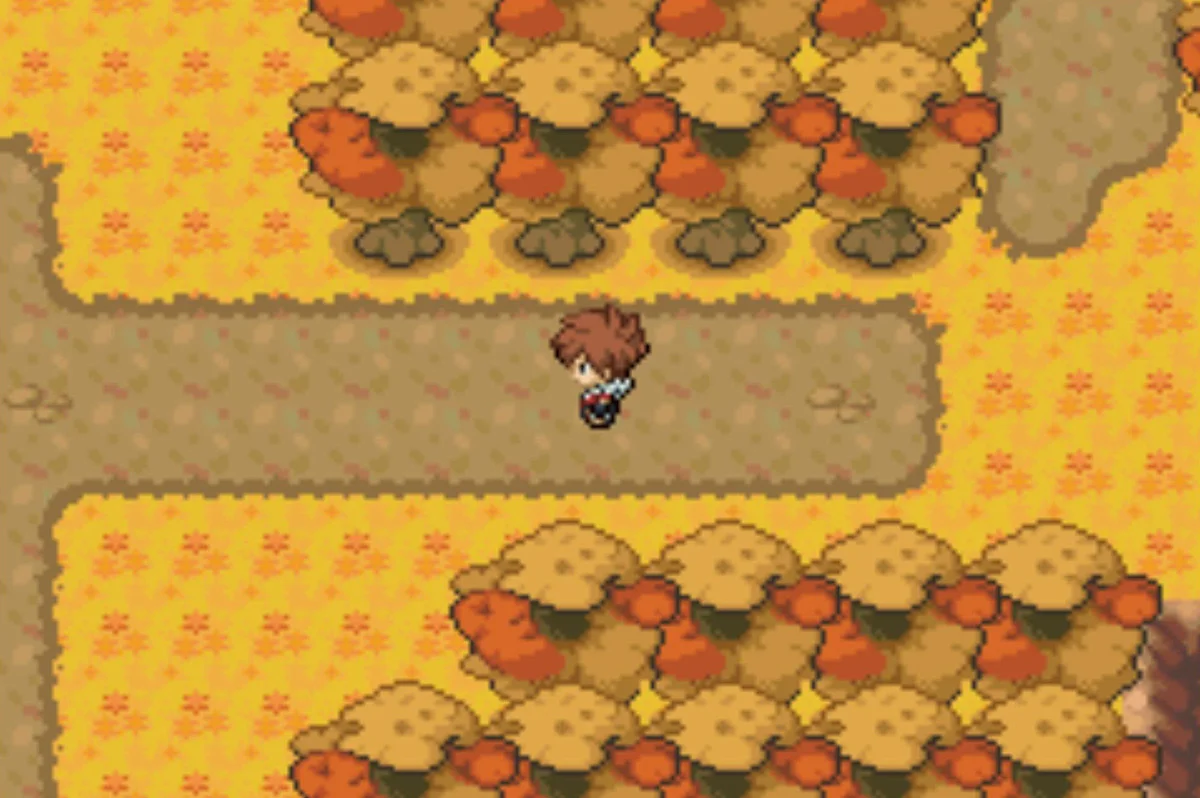 The entrance to Tehl Town / Pokémon Unbound