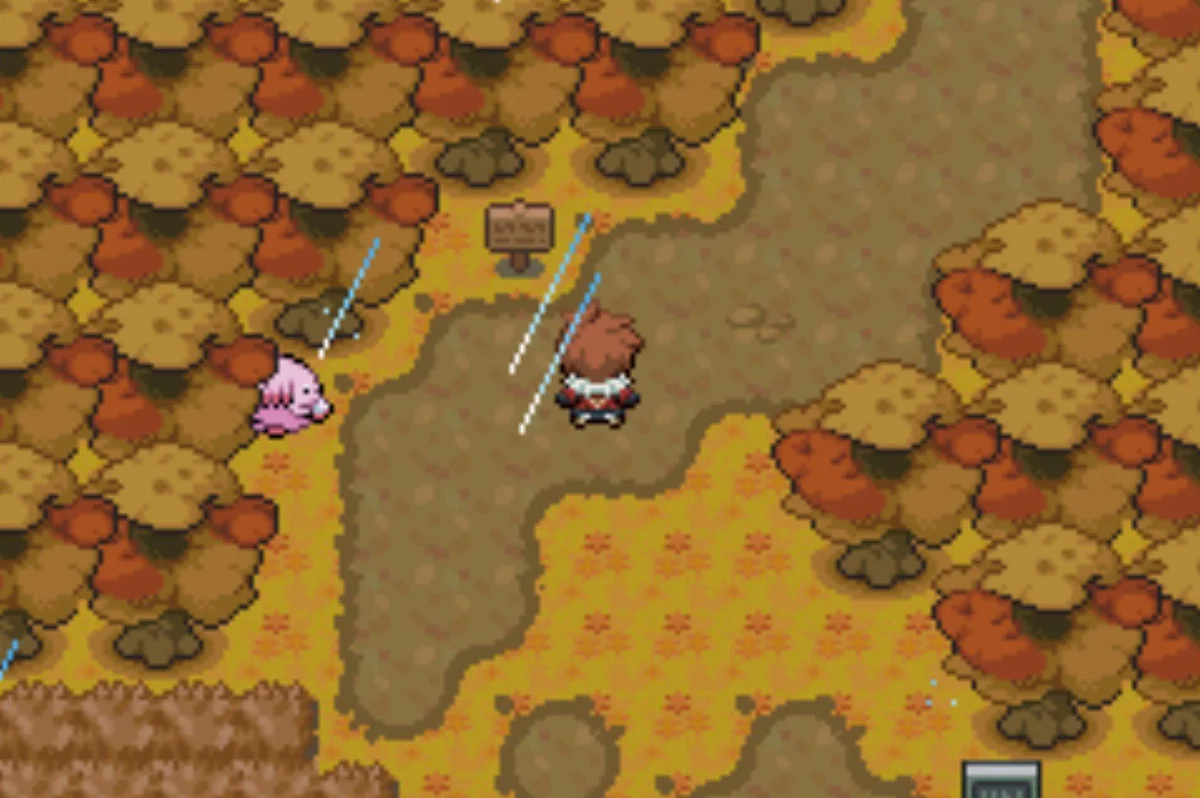 The Chansey offers much-needed healing / Pokémon Unbound