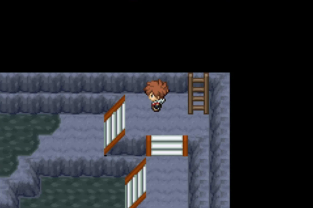 The first ladder / Pokémon Unbound