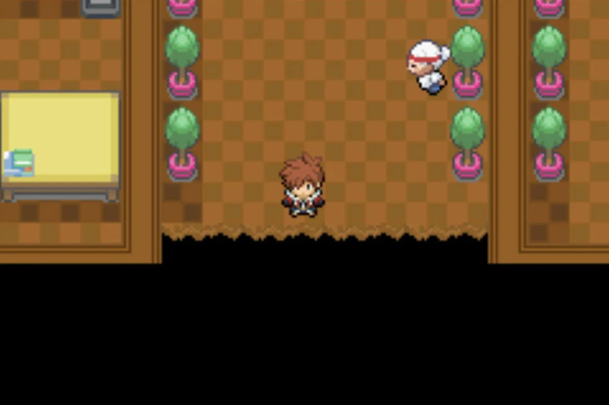 The gap in the floor leads to Maxima / Pokémon Unbound