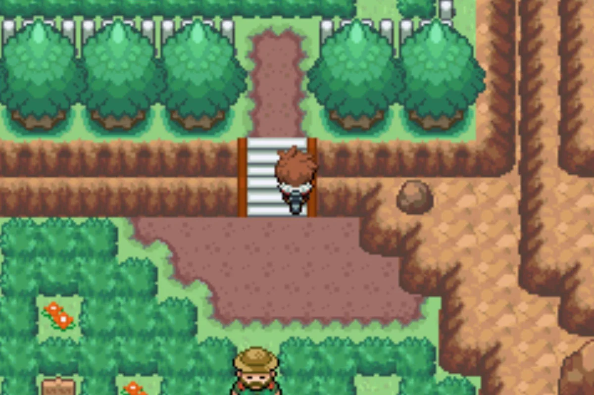 Continue north into a little fenced area / Pokémon Unbound
