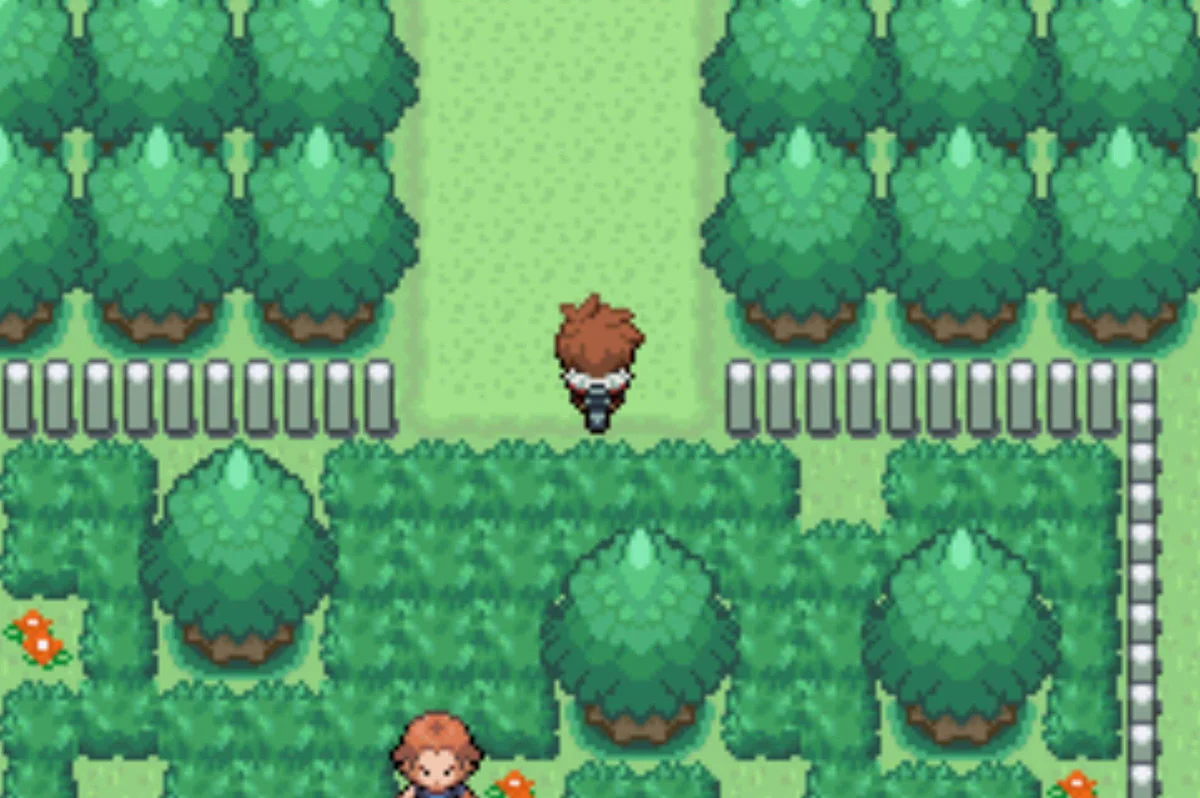 Tarmigan Town is ahead / Pokémon Unbound