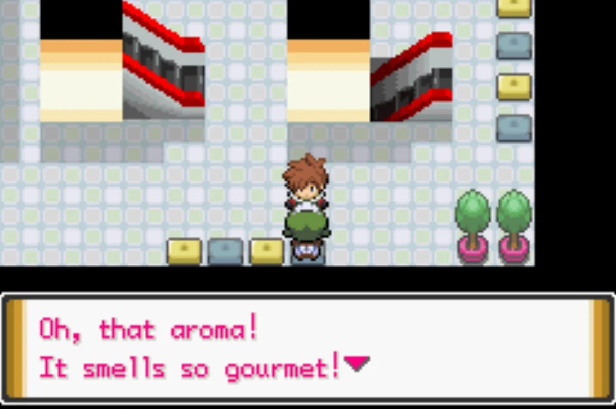 The Maid will buy ingredients / Pokémon Unbound