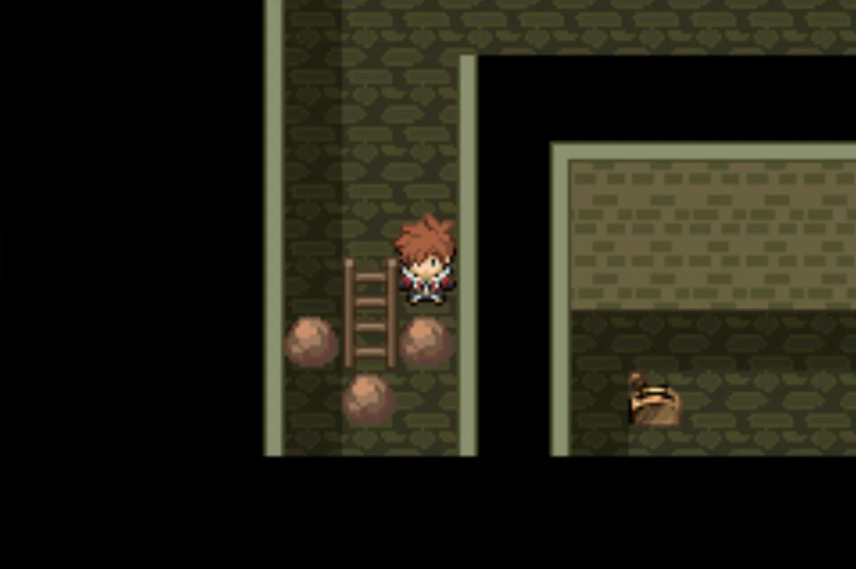 Prepare before heading up the ladder / Pokémon Unbound