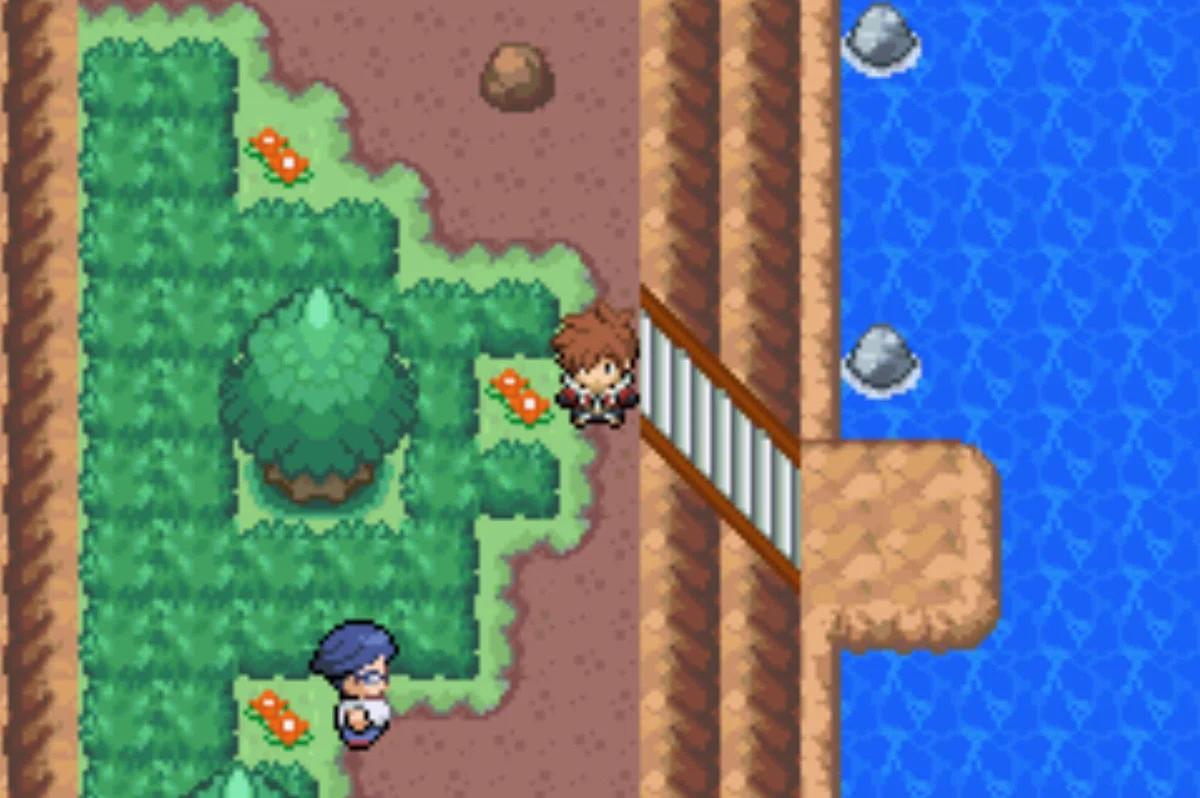 Collector Diddy / Pokémon Unbound