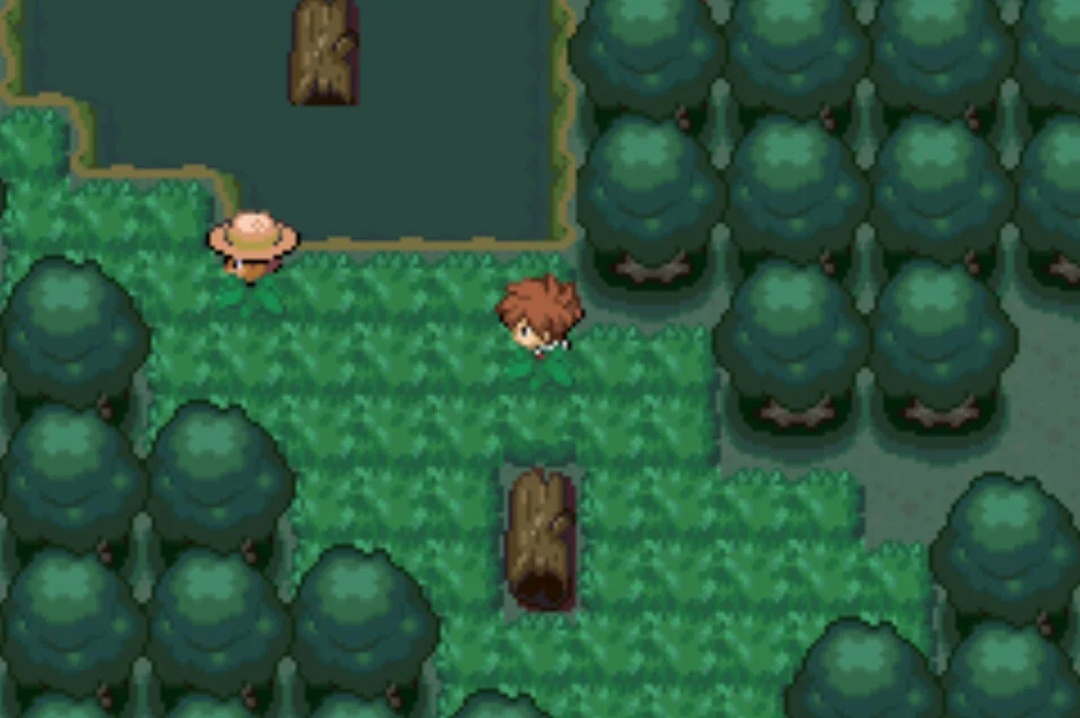 Bug Catcher Robby / Pokémon Unbound