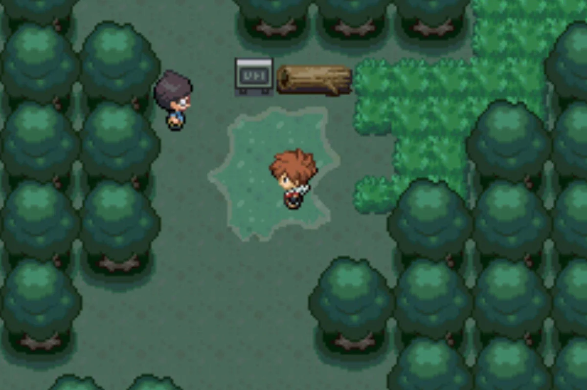 Bug Maniac Kelgo / Pokémon Unbound