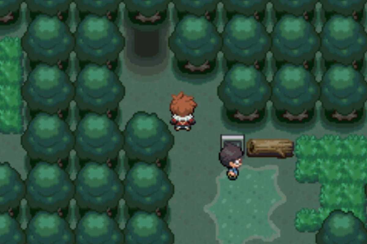 The exit to Vivill Town / Pokémon Unbound