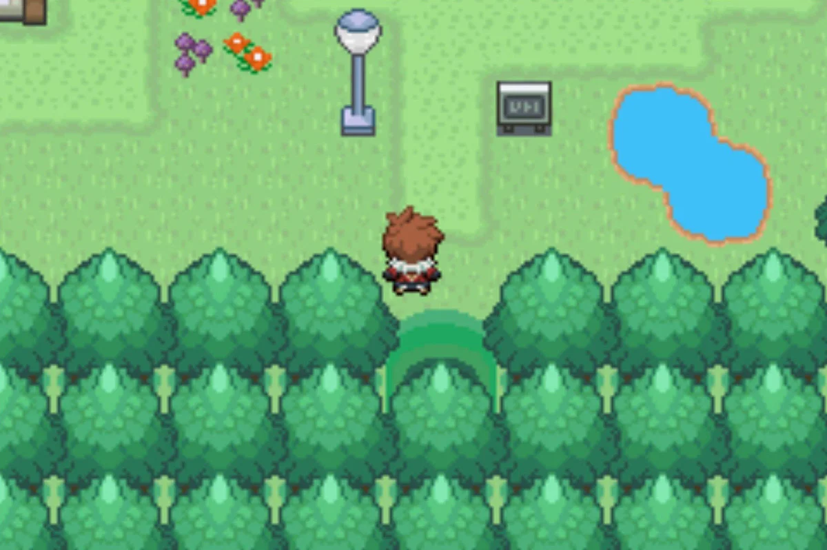 Vivill Town is ready to be explored / Pokémon Unbound