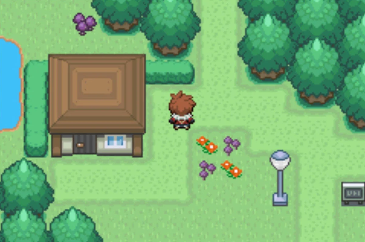 The trader in Vivill Town / Pokémon Unbound