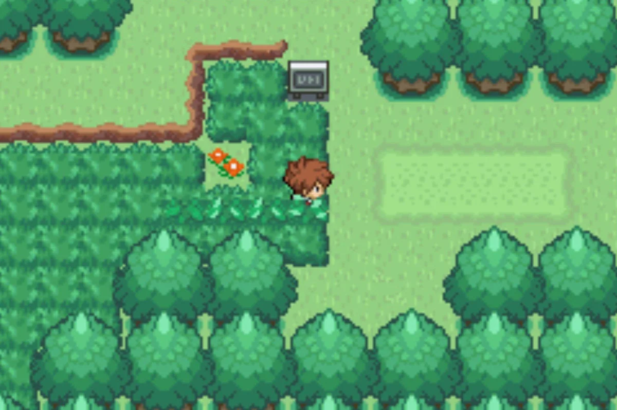 Seaport City entrance / Pokémon Unbound