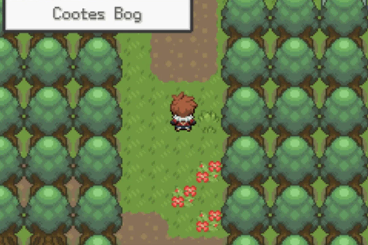 The entrance to Cootes Bog / Pokémon Unbound