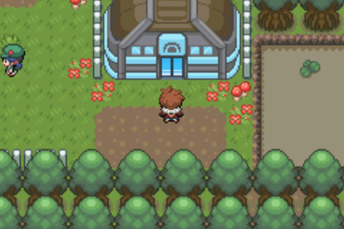 Polder Gym / Pokémon Unbound