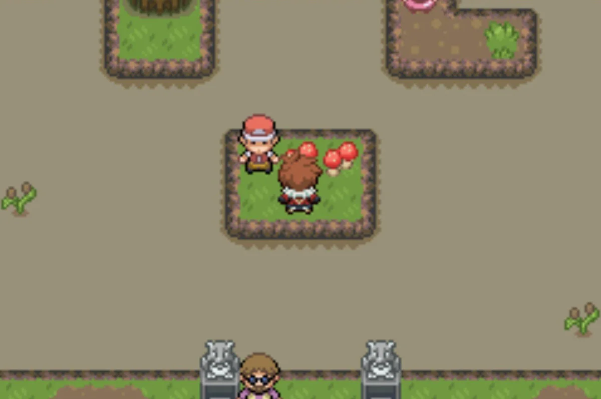 The first island / Pokémon Unbound