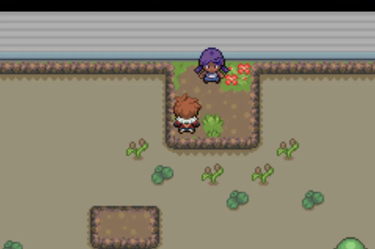 Tessy, the Gym Leader / Pokémon Unbound