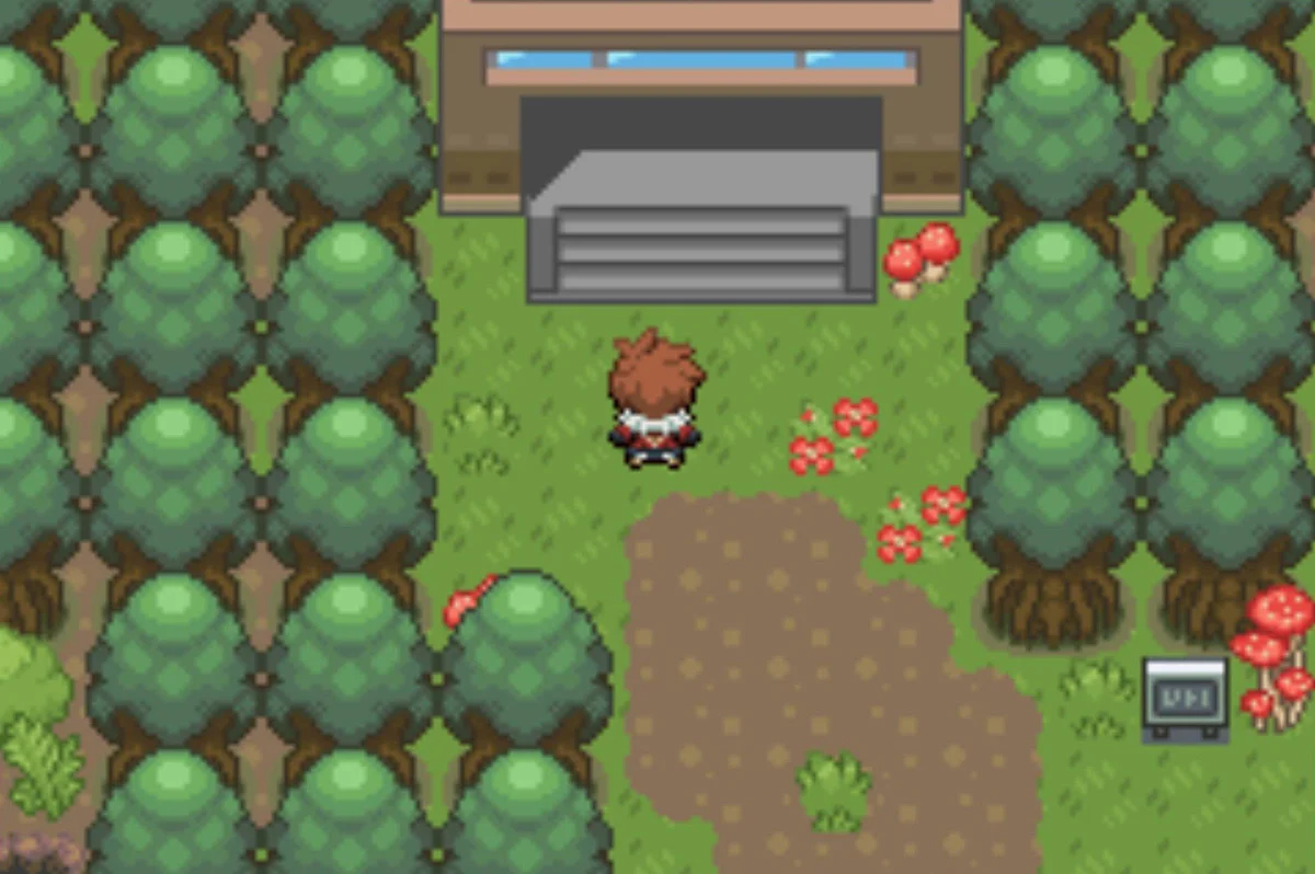 Magnolia Town entrance / Pokémon Unbound