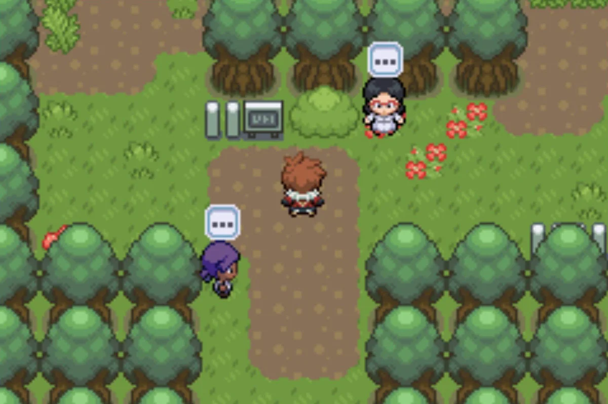 The entrance to Cootes Bog, and two missions / Pokémon Unbound