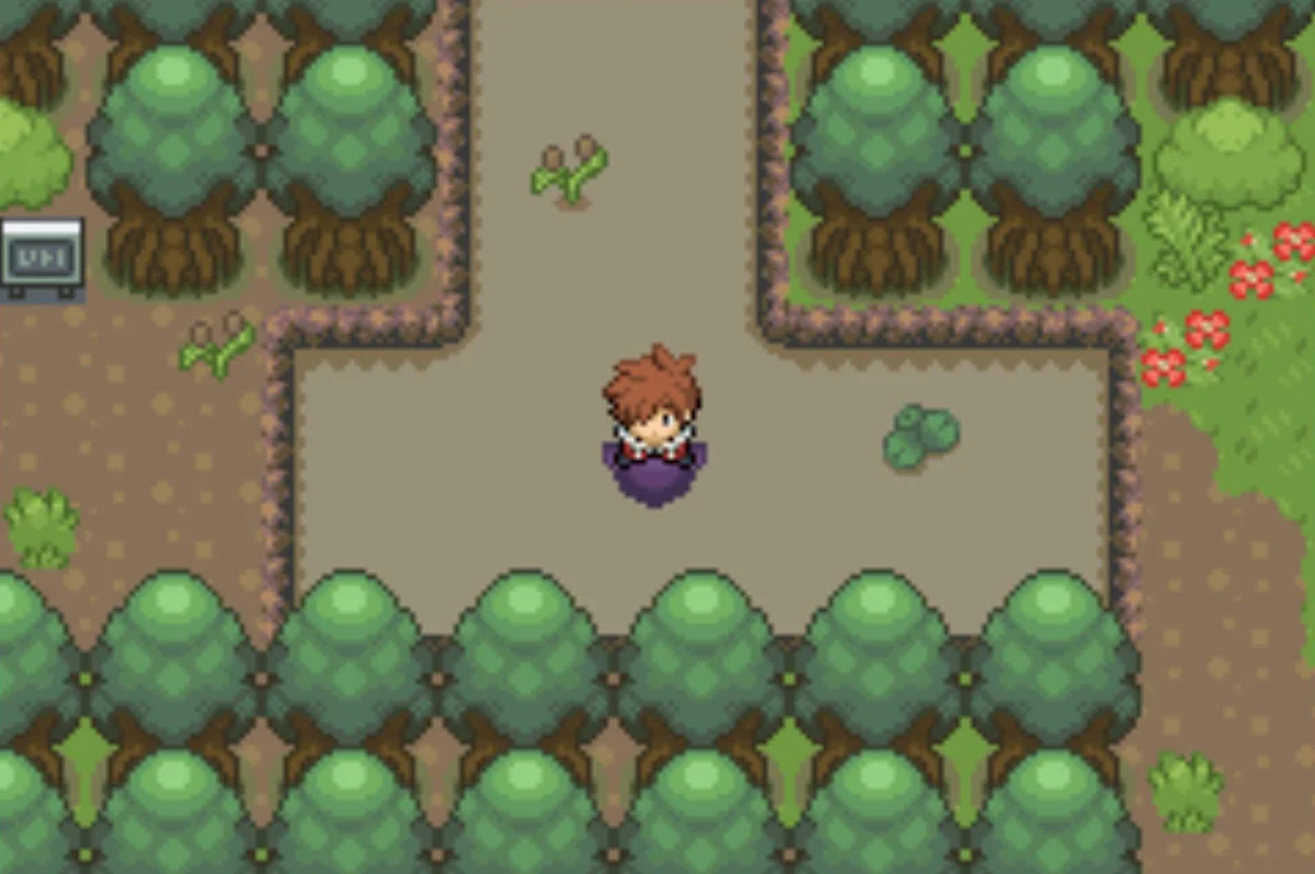 The south part of the hook-shaped pond / Pokémon Unbound