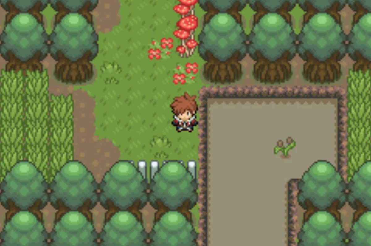 The north part of the hook-shaped pond / Pokémon Unbound