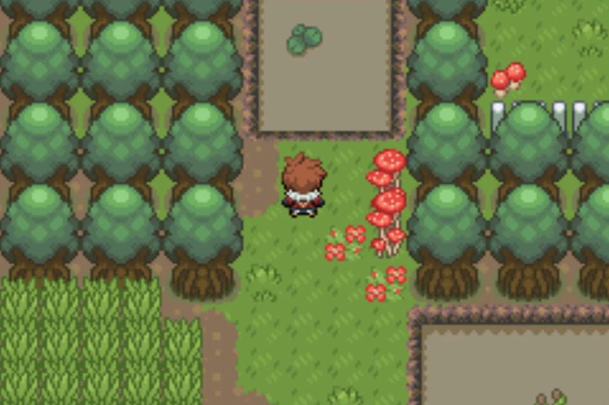 Cross this pond north / Pokémon Unbound