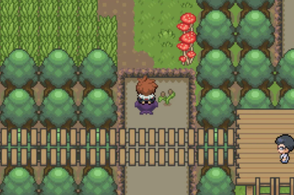 Further into the bog / Pokémon Unbound