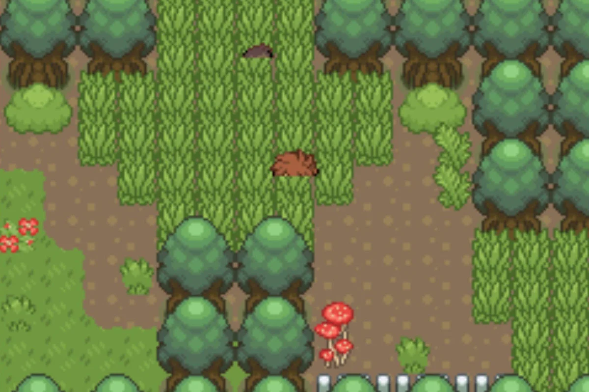 Ninja Boy Yokohama / Pokémon Unbound