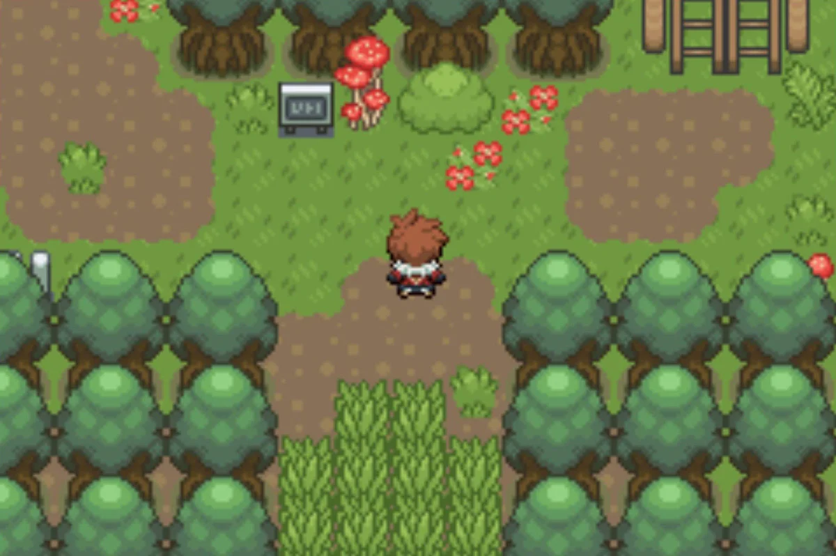 West is Magnolia Town, east winds around the bog further / Pokémon Unbound