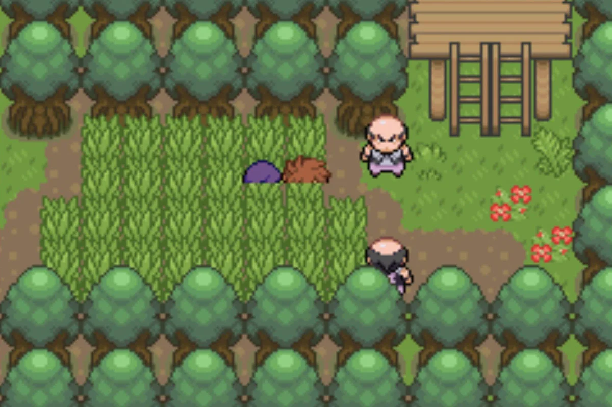 The second pair / Pokémon Unbound