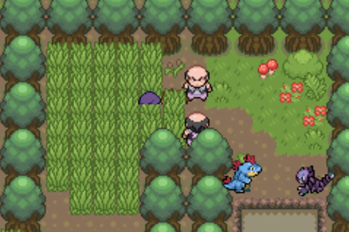 The final confrontation / Pokémon Unbound