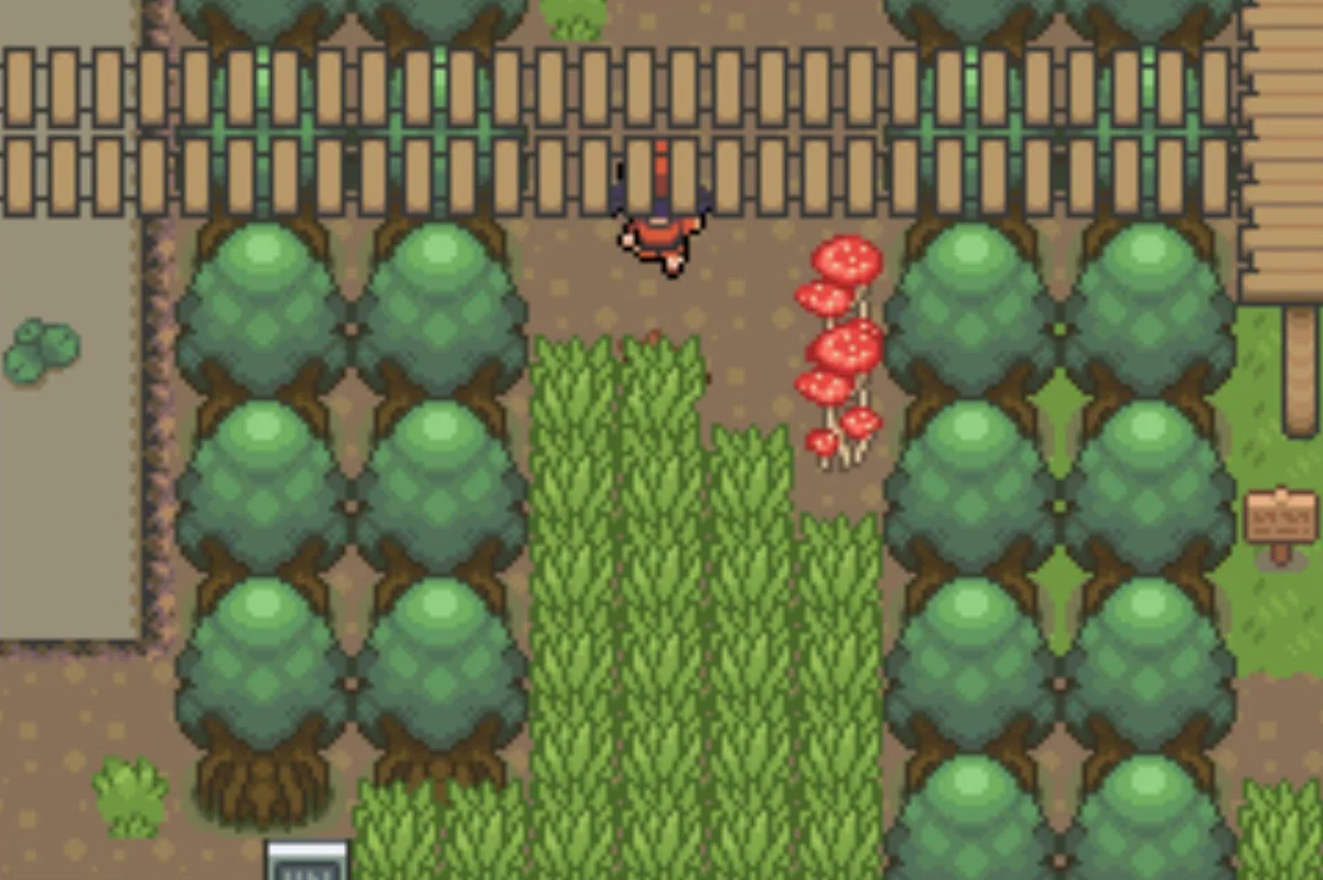 Take the right path at the next fork / Pokémon Unbound