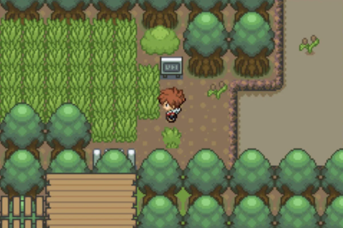 Get to the hook-shaped pond / Pokémon Unbound