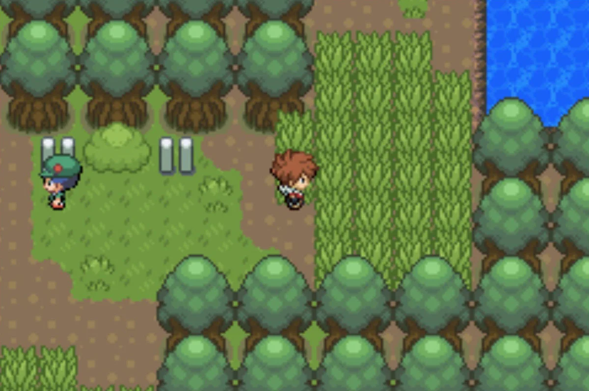 Camper Bradley and the access to the clean water / Pokémon Unbound