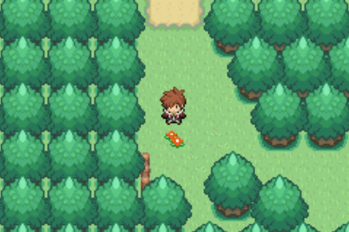 Follow the path south and through the trees / Pokémon Unbound