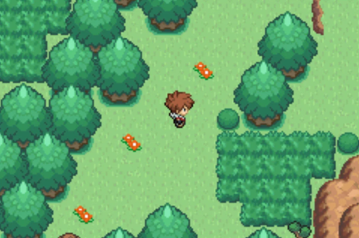 East to the coast, north leads further into woodland / Pokémon Unbound