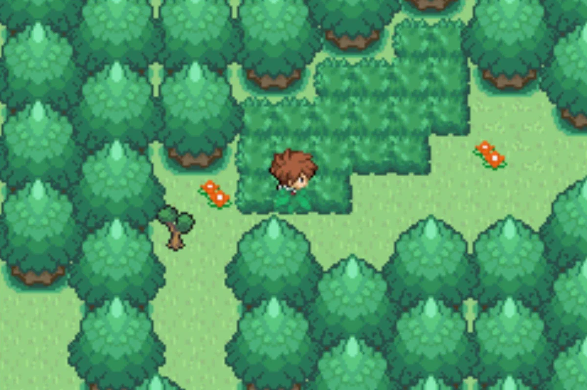 The way to the other water passage / Pokémon Unbound