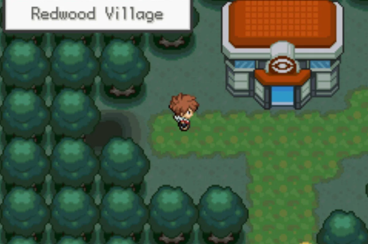 The village in the woods / Pokémon Unbound