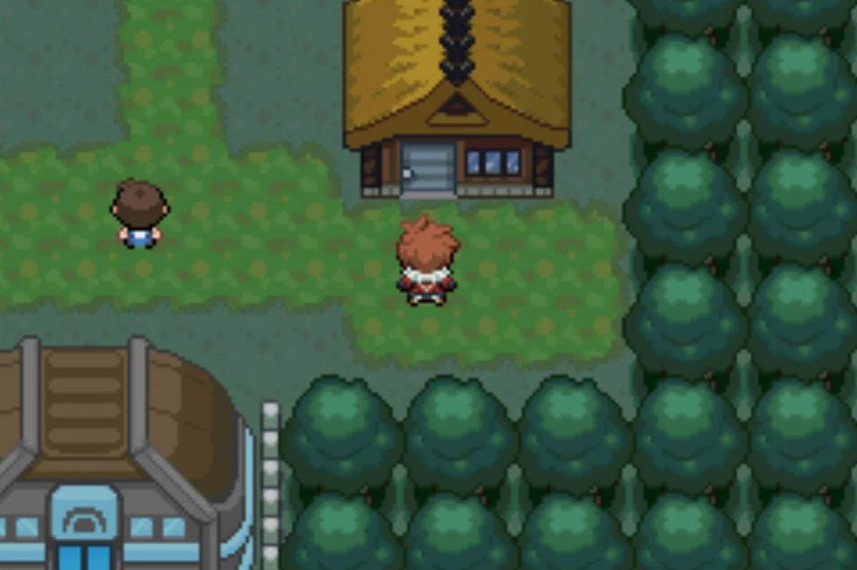 This household needs a favor / Pokémon Unbound