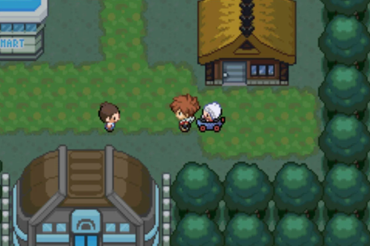 Follower acquired / Pokémon Unbound