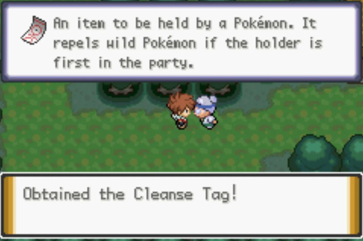 The old woman thinks we are a ghost / Pokémon Unbound