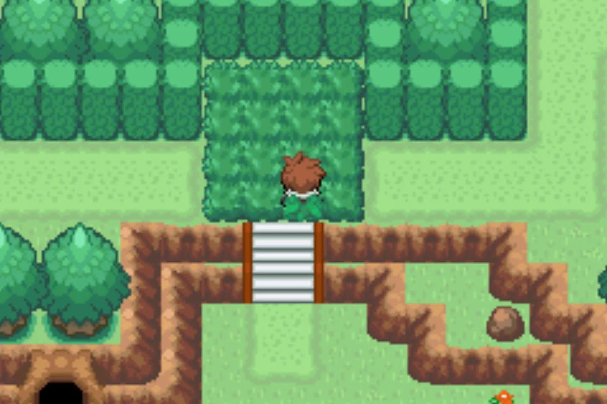 The hedge maze begins / Pokémon Unbound