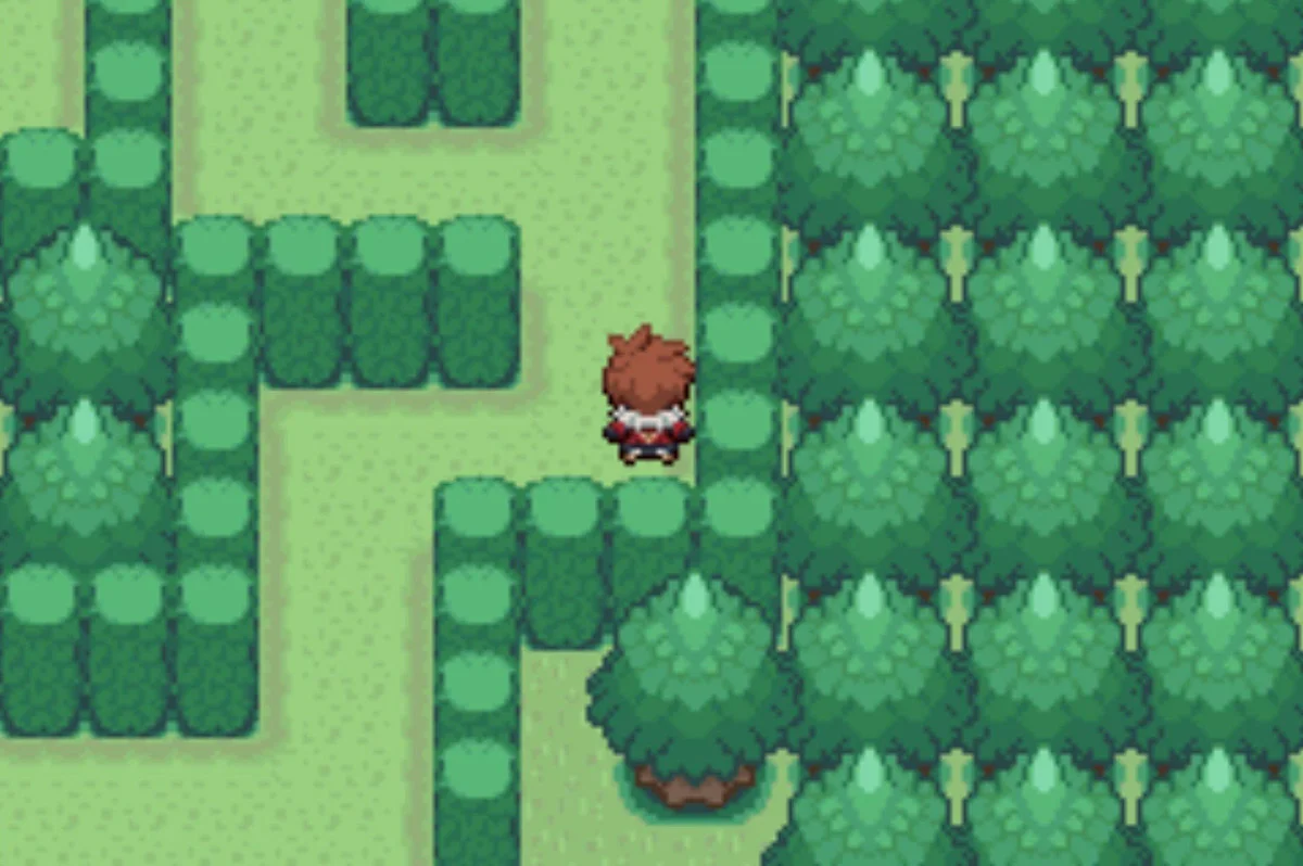 The first fork / Pokémon Unbound