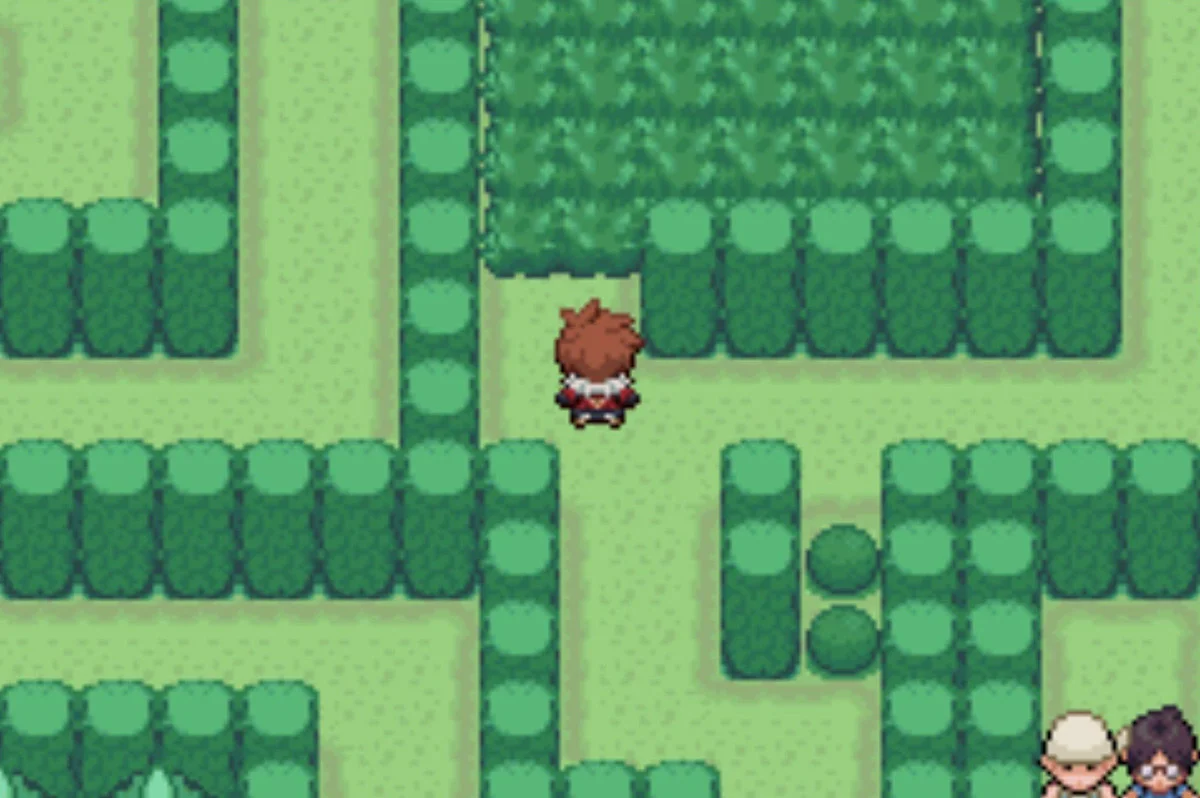 A bit of long grass to catch Pokemon in / Pokémon Unbound