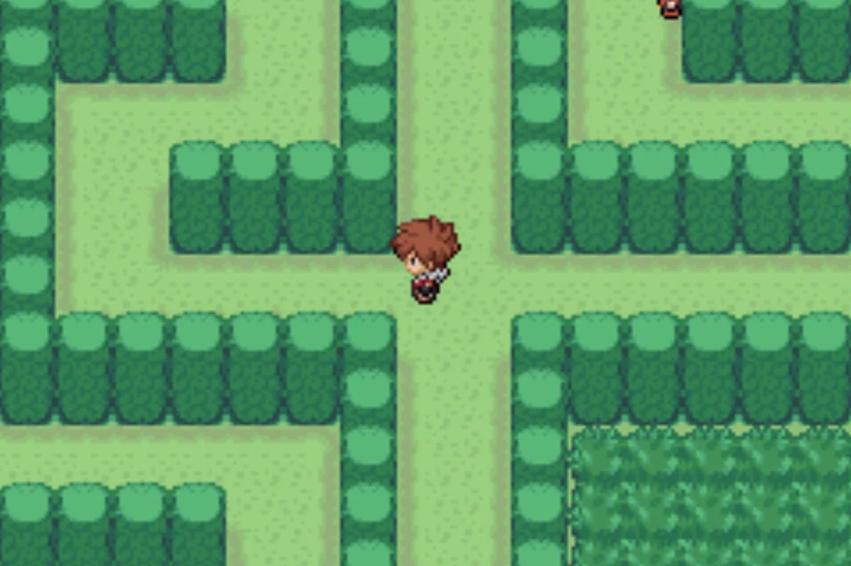 The final choice to make / Pokémon Unbound