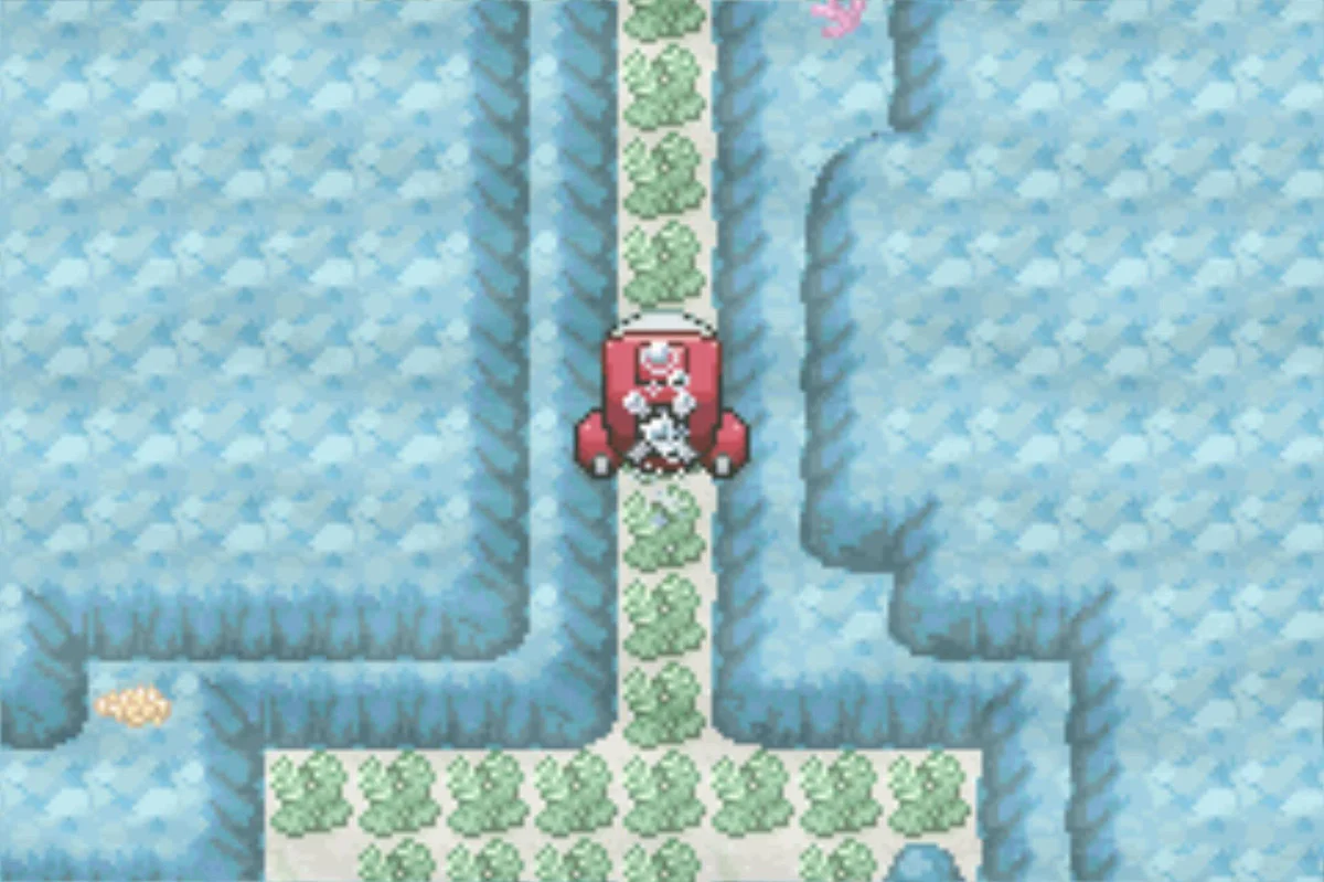 The narrow passage / Pokémon Unbound