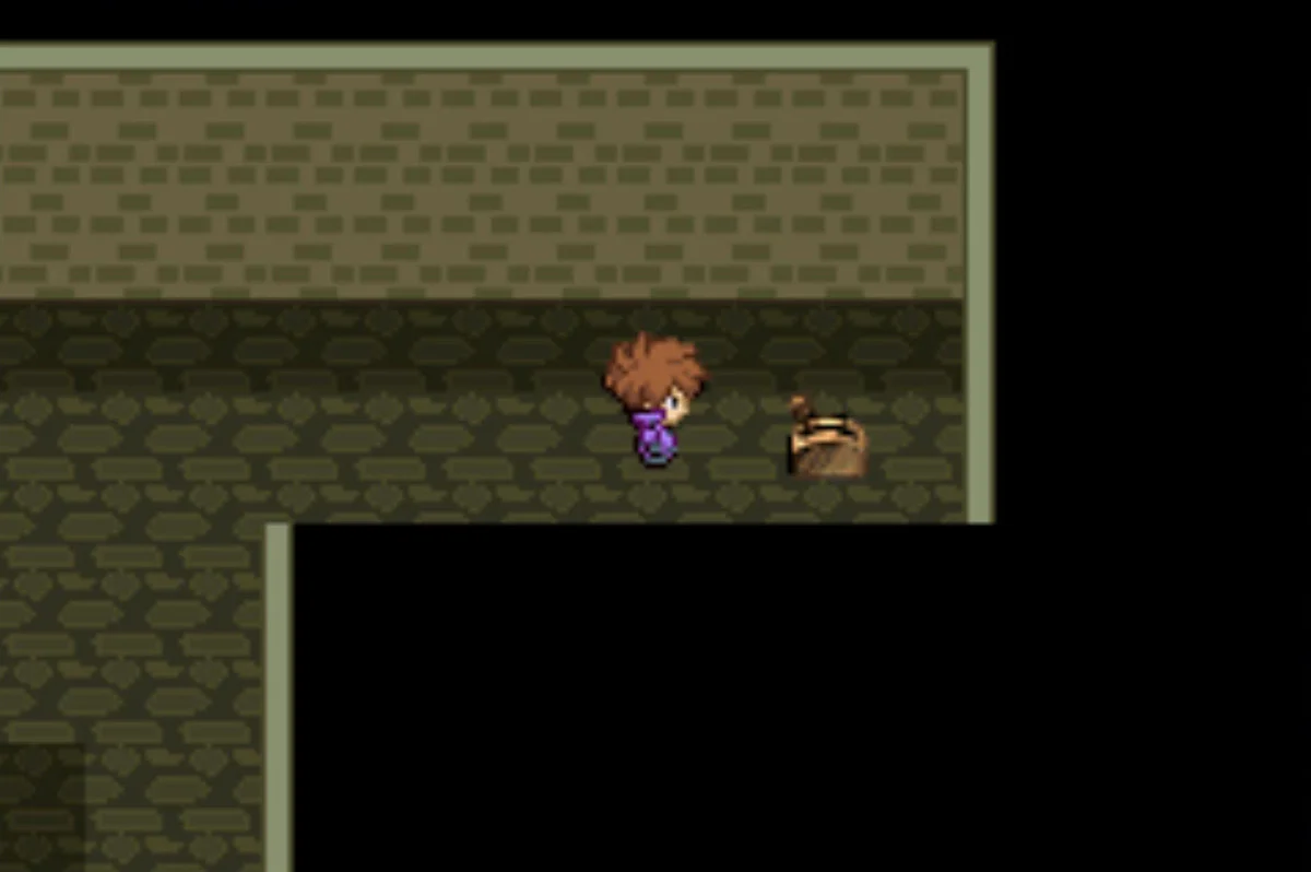 The second switch / Pokémon Unbound