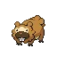 비버니 Bidoof