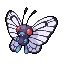 버터플 Butterfree